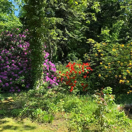 Hudemuehlen Σπίτι διακοπών *